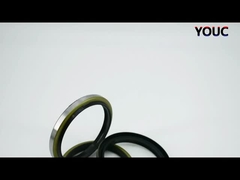 Schwarz DKBI DKB Stauböldichtung Hydraulischer Zylinder Staubdichtung NBR PU Wipperdichtung